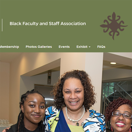 BFSA website screenshot